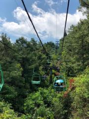 High-End Scenic Double Cliff Swing with Smart Monitoring