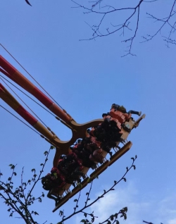 Smart Electric-Controlled Cliff Swing (Scenic Flagship Model)