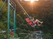 Karst Landscape Forest Cliff Swing