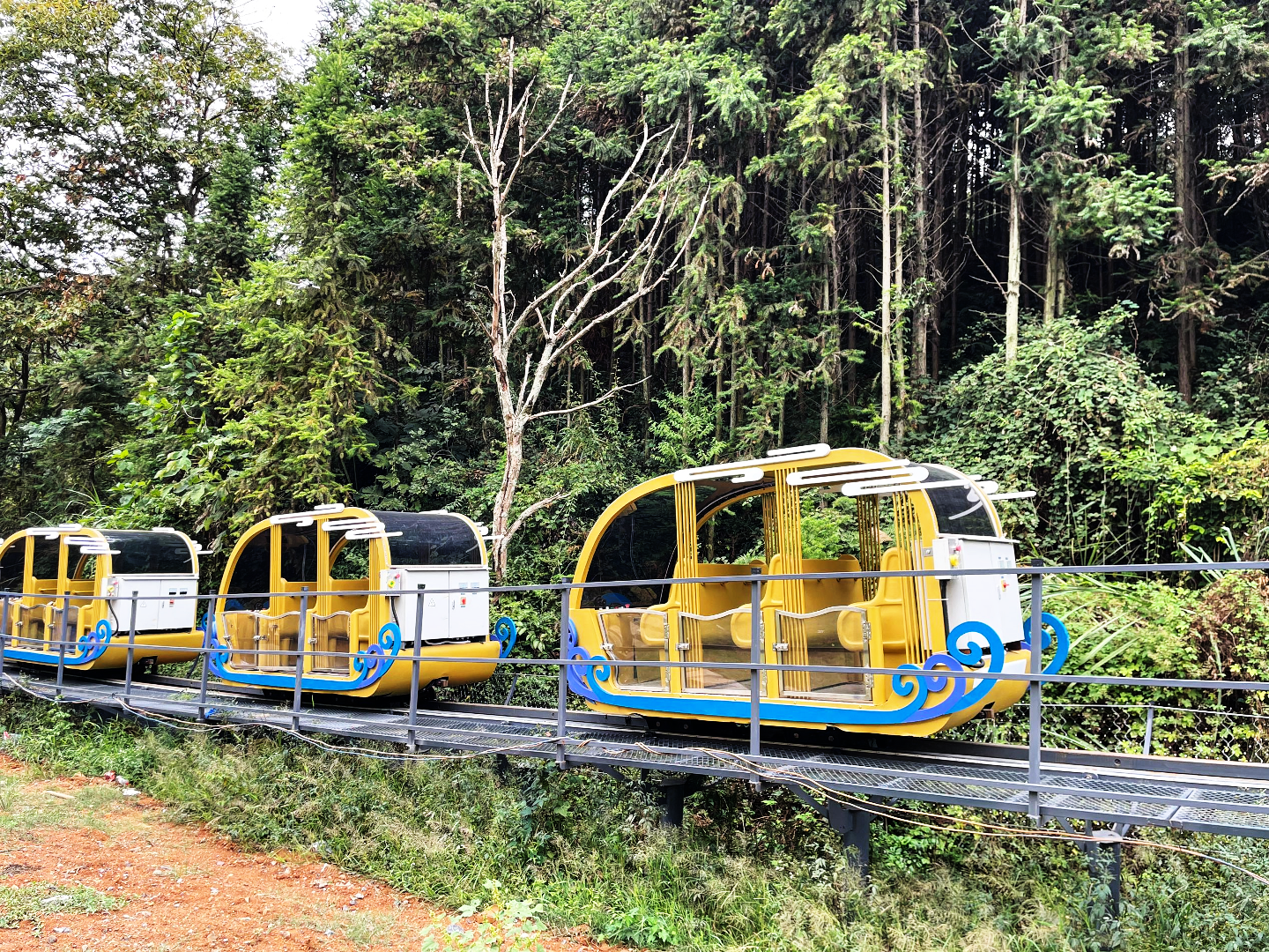 Scenic Mountain Track Ride (en)