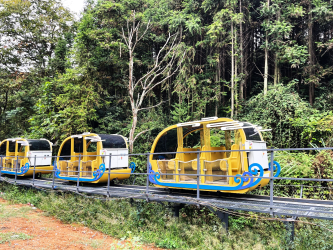 Scenic Mountain <span>Track</span> Ride (en)