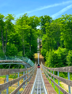 Mountain Terrain Scenic High-Speed Coaster Ride