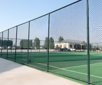 Stadium-Specific Chain Link Fence with Hook Design