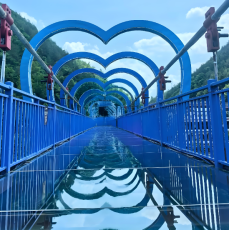 風光明媚なガラス床観光サスペンションブリッジ