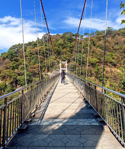 สะพานแขวนเที่ยวชมสถานที่ที่ปราศจากอุปสรรคด้านสิ่งแวดล้อม