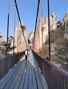 สะพานแขวนคนเดินเท้าอัลไพน์