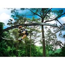 360 ° หมุนติดตามสายซิป (อะตอมรถไฟเหาะ)