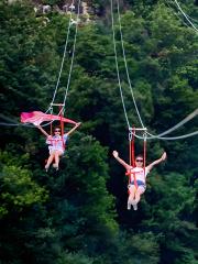 Family-Friendly Low-Altitude Zip Line