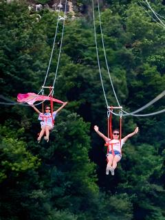 Family-Friendly Low-Altitude Zip Line