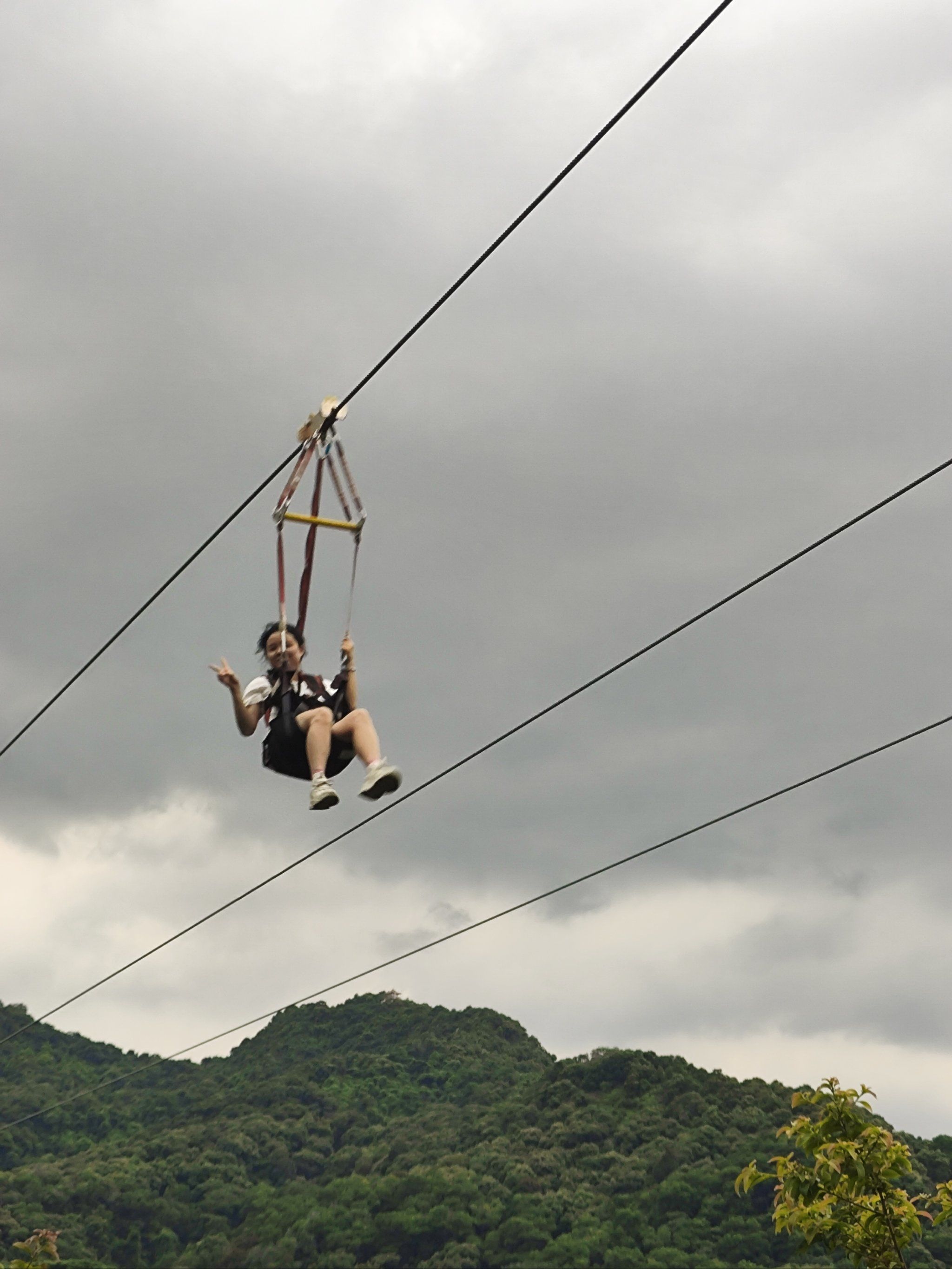 Extreme Single-Rail Dive Zipline