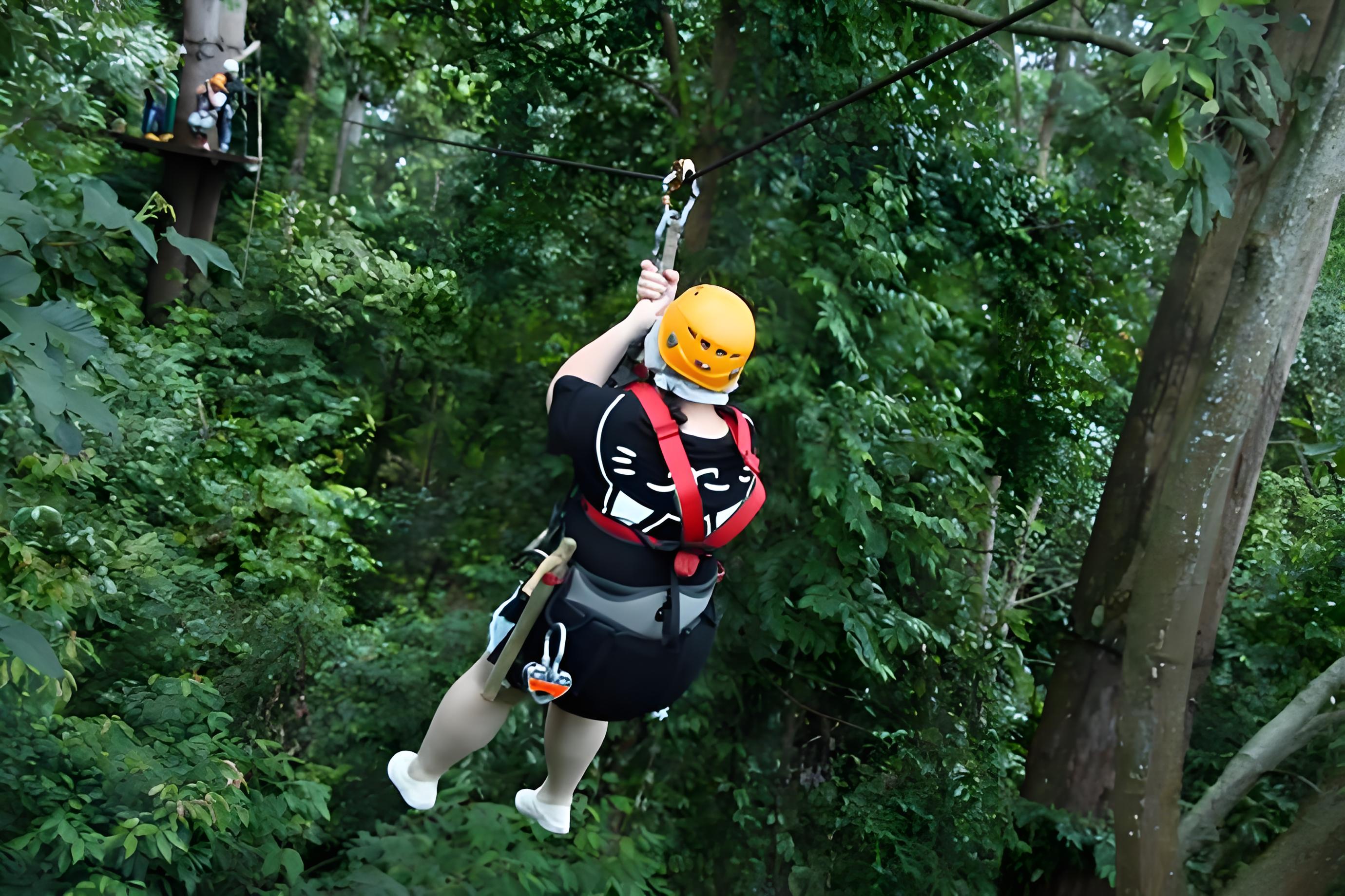 Jungle Crossing Circular Zipline (Atomic Coaster)