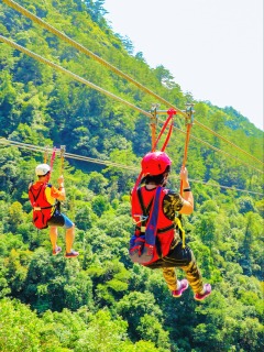 Scenic Area Double Passenger Zip Line