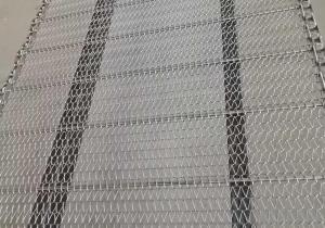 Maille à hautes températures de filtre d'acier inoxydable de la Pétrochimique-catégorie 310S