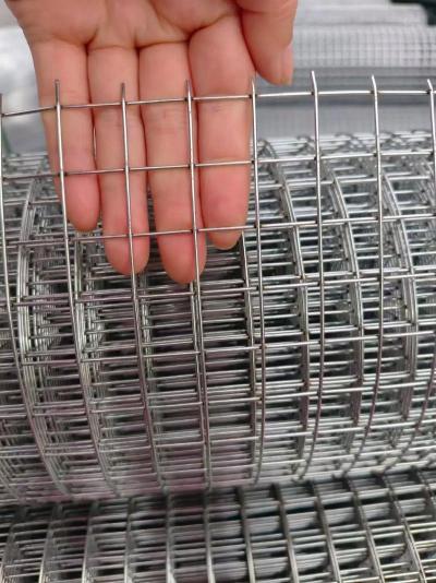 PVC-Coated Q195 Low Carbon Steel Crimped Wire Mesh