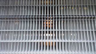 ตะแกรงเหล็กชุบสังกะสีแบบจุ่มร้อน