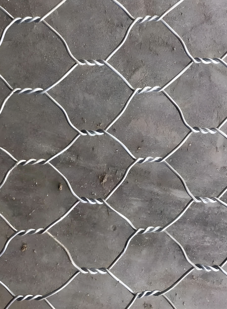 Filet galvanisé à chaud de haute résistance de protection de pente