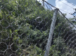 Filet passif de protection de pente d'anneau