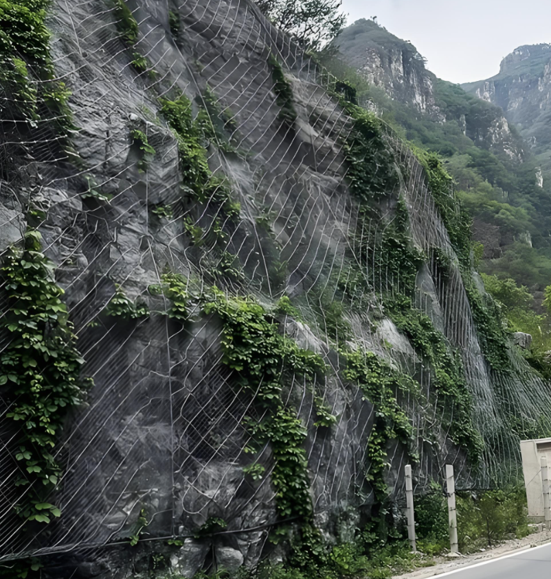 Filet actif flexible de protection de pente de SNS