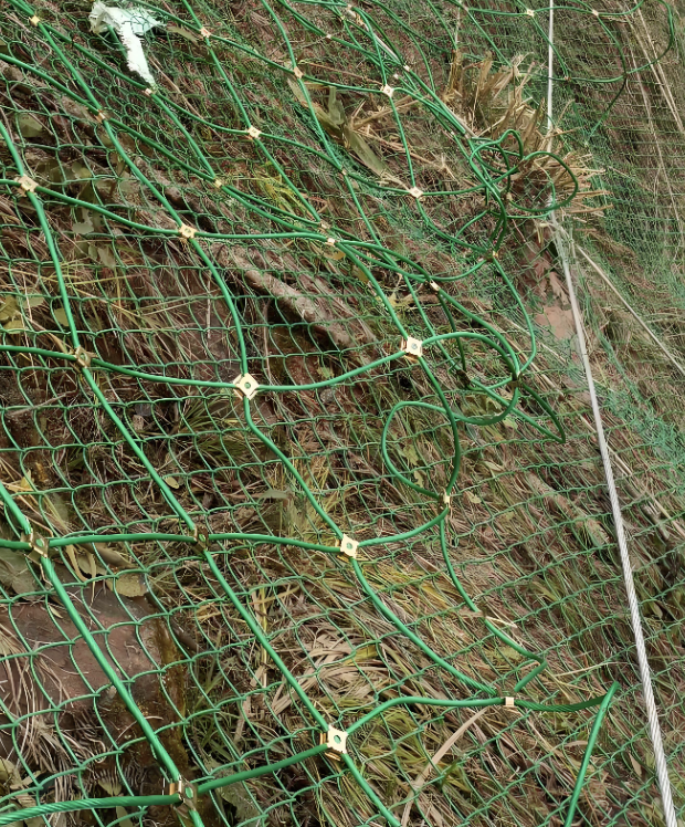 Filet biodégradable écologique de protection de pente