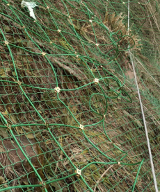 Filet biodégradable écologique de protection de pente