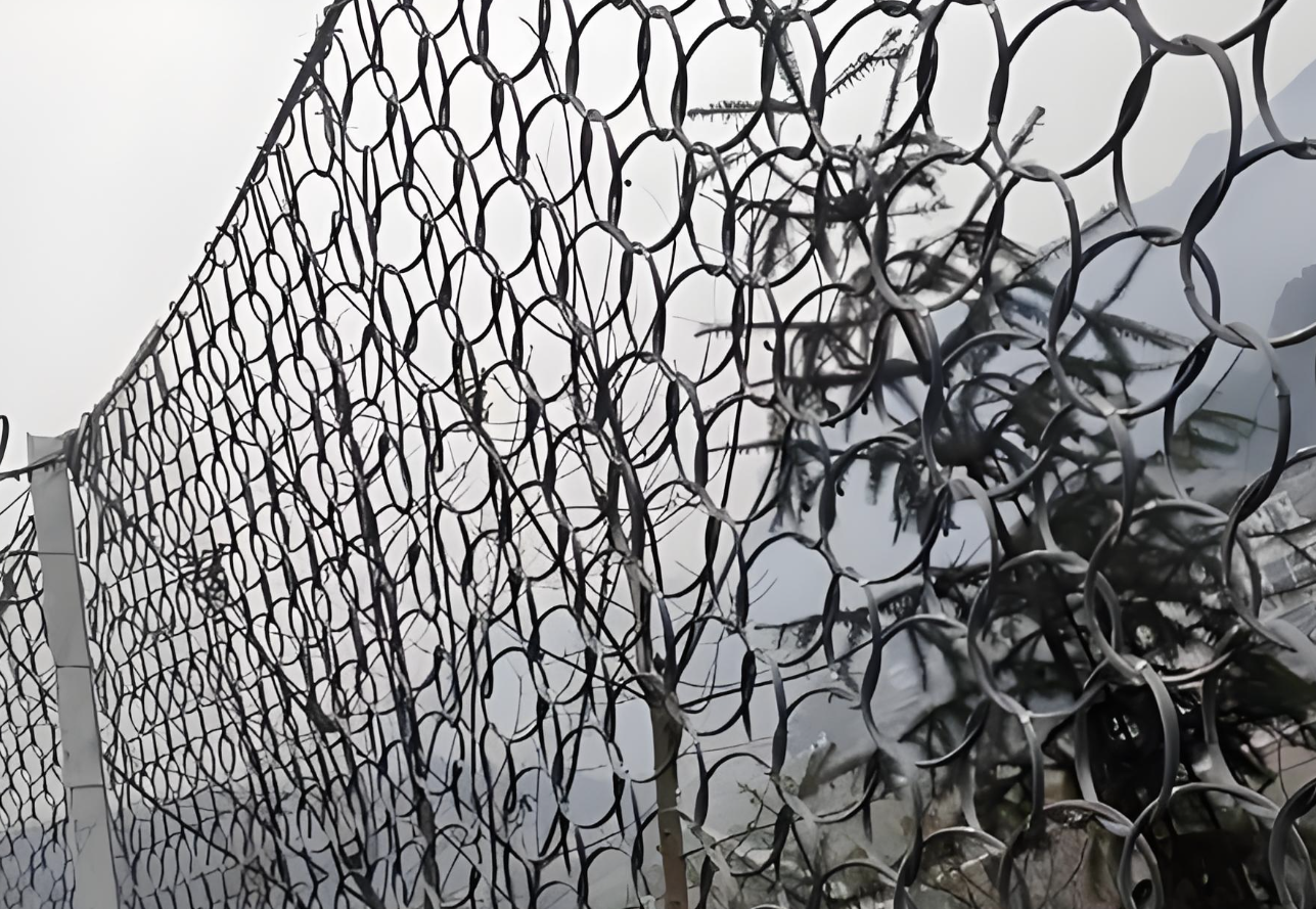 ตาข่ายป้องกันความลาดชันภูมิทัศน์วงแหวนแบบพาสซีฟ