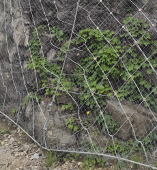 Jaring Pelindung Kemiringan Rantai Aktif