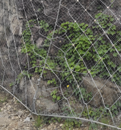 Active <span>Chain</span> <span>Link</span> Slope Protection Net
