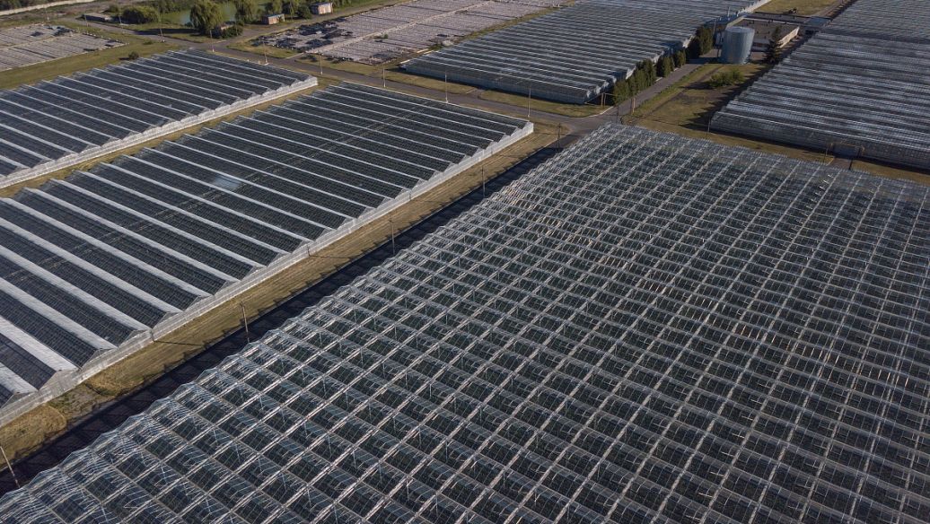 Couvertures légères de grille de tranchée de FRP