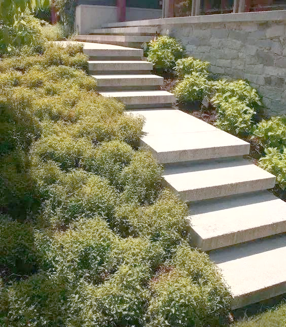 WPC กลางแจ้งสวนภูมิทัศน์ขั้นตอนไม้กระดาน