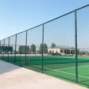 PVC Coated Basketball Court Fence