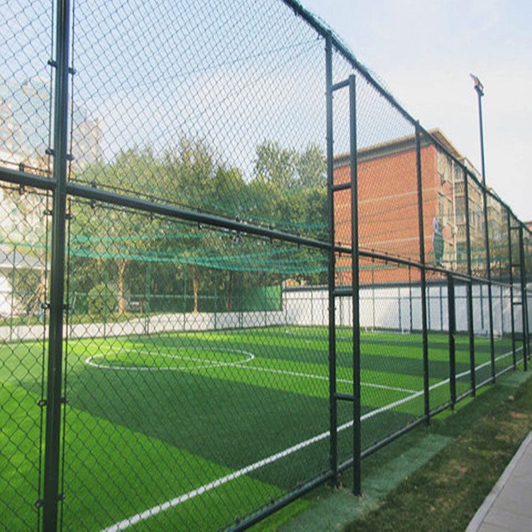 Clôture d'arrêt de terrain de baseball extra-haute