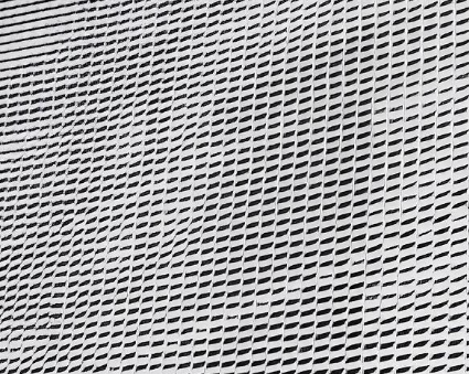 建物のファサードのためのステンレス钢の装饰的なメッシュ