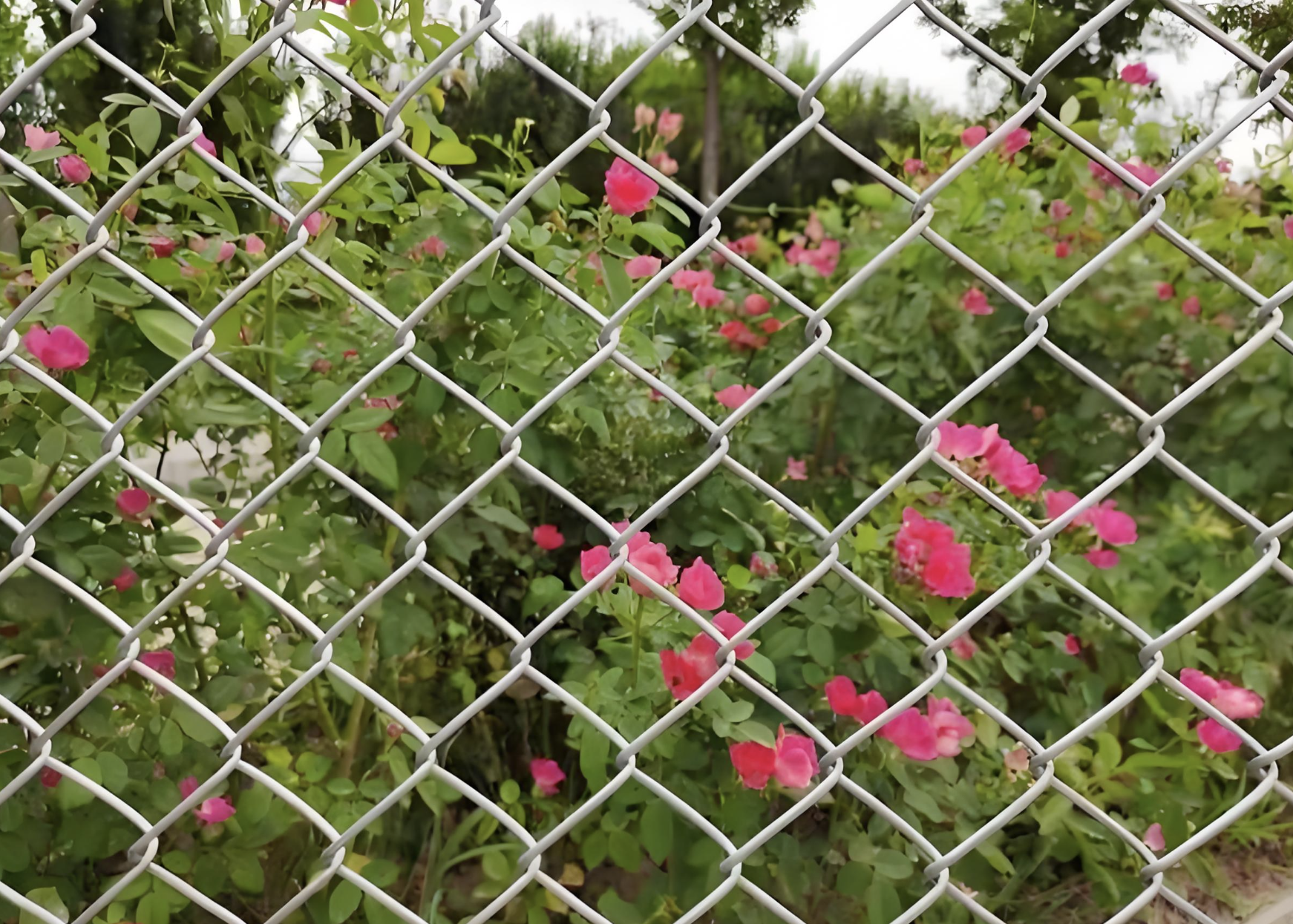 Maille décorative en métal de fer galvanisé pour le paysage extérieur
