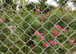 Galvanized Iron Metal Decorative Mesh for Outdoor Landscape