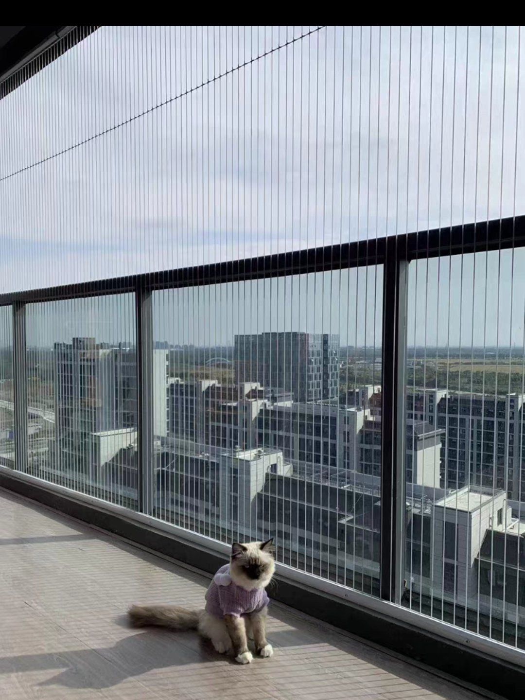 Filet de sécurité invisible axé sur les animaux de compagnie