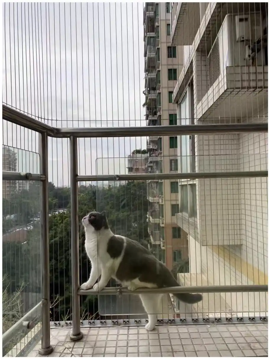 Pet-specific Invisible Protective Net