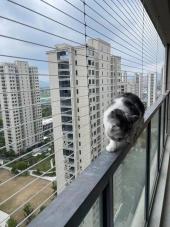 Pet-specific Invisible Protective Net