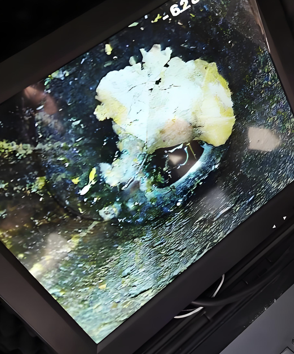 Micro Miniature 3D HD Borehole Television Imager