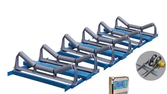 Intelligent Networking Belt Weighing Scale