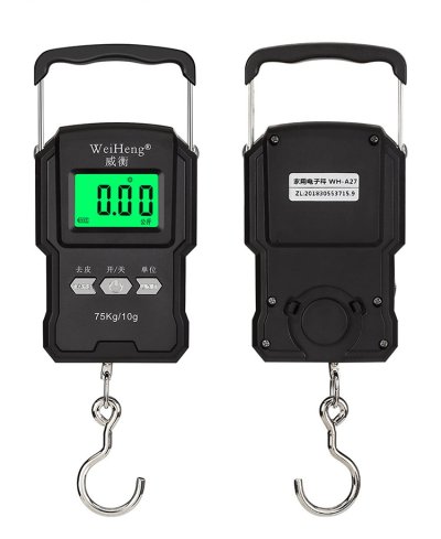 Portable Mobile Belt Weighing Scale