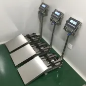 Heavy-Duty Mining Explosion-Proof Belt Weighing Scale