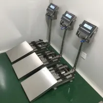 Heavy-Duty Mining Explosion-Proof Belt Weighing Scale