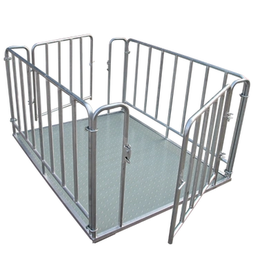 Chăn nuôi đặc biệt có trọng lượng quy mô cho trang trại