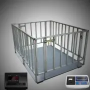 Chăn nuôi điện tử cầu cân