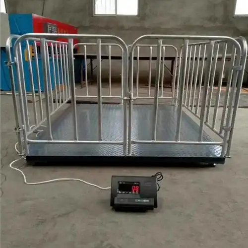 Chăn nuôi điện tử cầu cân