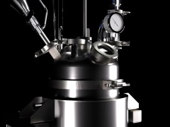 Réacteur de laboratoire revêtu en acier inoxydable 5L