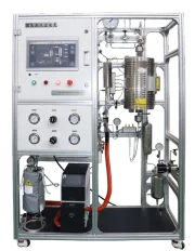 Unité d'évaluation de catalyseur couplé Raman in situ
