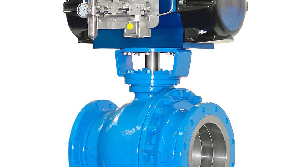 Vortex Shedding Flow Meter