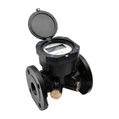 Embedded Ultrasonic Water Meter