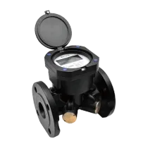 Embedded Ultrasonic Water Meter